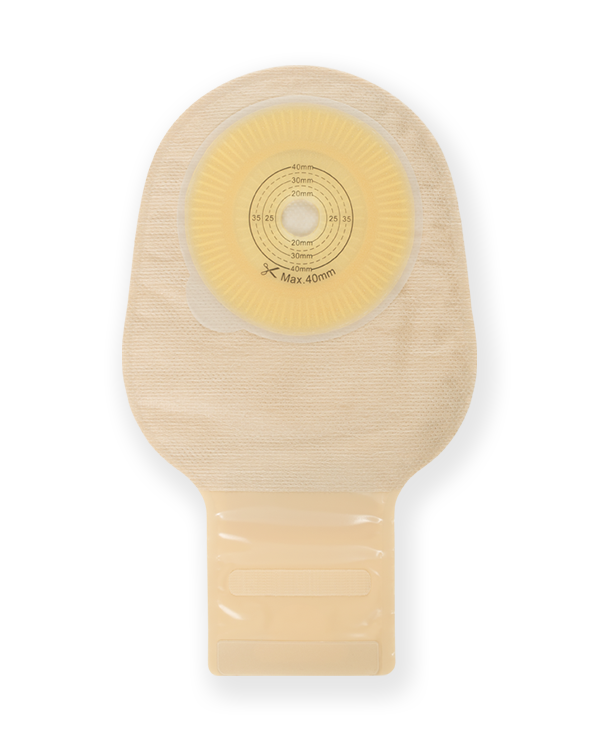 Product Image BAO Free