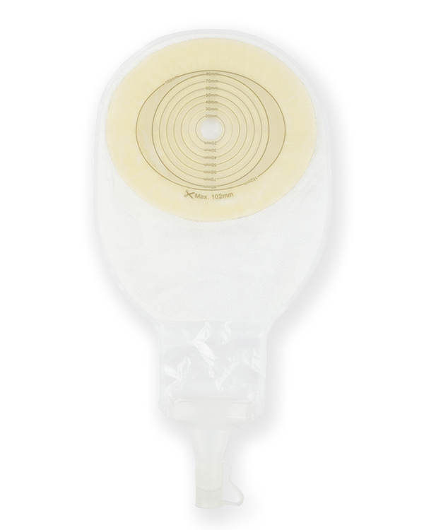 Product Image BAO Free
