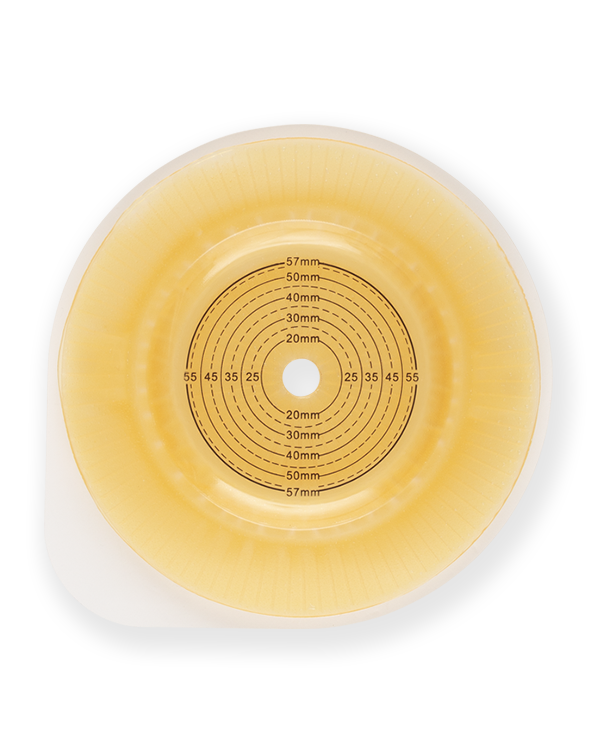 Product Image BAO Free