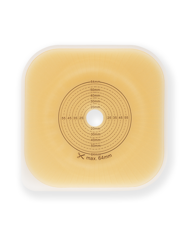 Product Image BAO Free