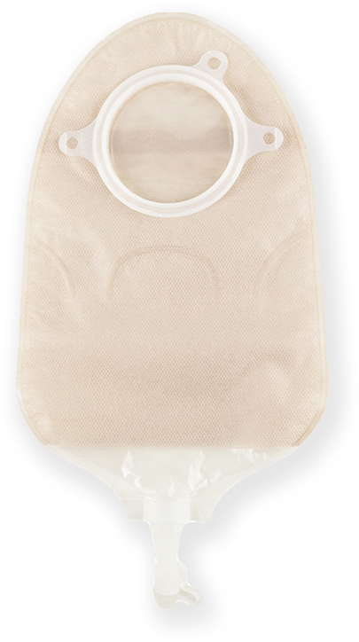 Product Image BAO Free