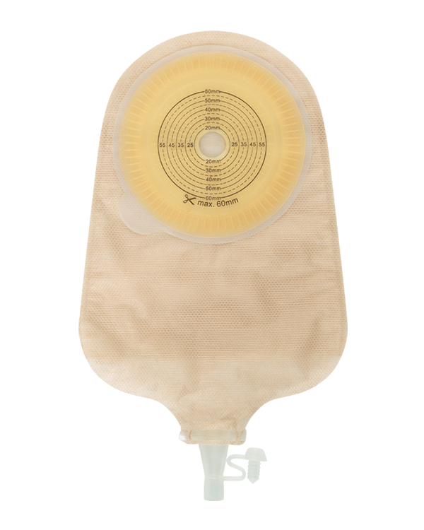 Product Image BAO Free